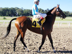 Se realizó el lanzamiento de una importante prueba de turf