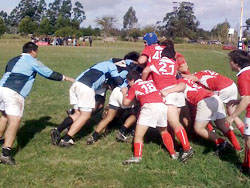 Arlequines participó en un torneo internacional de rugby juvenil en el Carrasco Polo Club