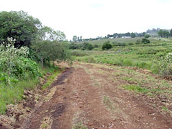 Cuatro mil metros de líneas de cortafuego en el Parque Gran Bretaña