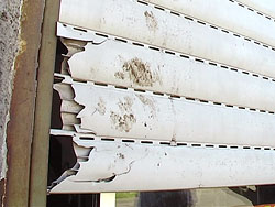 Vecinos de Rivera Chico no soportan más los ataques de vándalos