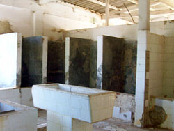 Dra. Zabaleta: “A un año del anuncio de millonario frigorífico el abasto es un depósito de basura”