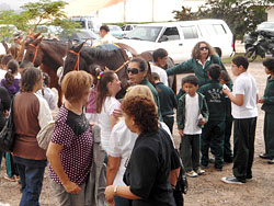 Se reinician actividades de equinoterapia en el Regimiento de Caballería Nº 3