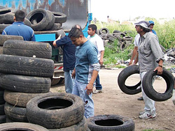Salubridad, Higiene y Medio Ambiente estudia destino final de neumáticos
