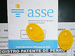 Se extendió el plazo para el pago de la patente de perro