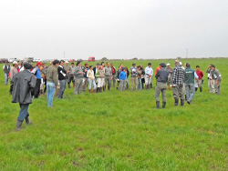 Jornada sobre uso y manejo de los verdeos de invierno