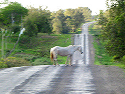 Hay que respetar la vida...