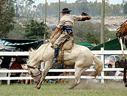 Gran Fiesta Criolla de Gauchos del Mercosur