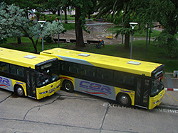 Se han presentado varias empresas a la licitación de líneas urbanas de transporte de pasajeros