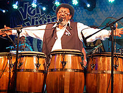 Adiós al carnaval 2013