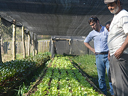 Centro Universitario de Rivera e Intendencia juntos en pro del desarrollo productivo local