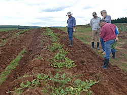 Se realizó una charla en Tranqueras dirigida a productores de sandía y melón