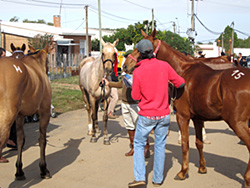 Raíd Federado “Volviendo a galopar”