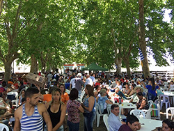 Espacio 2000 despidió el año con asado criollo en Curticeiras